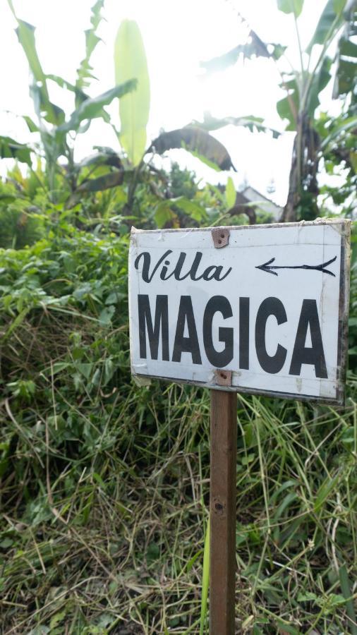 Villa Magica 乌布 外观 照片
